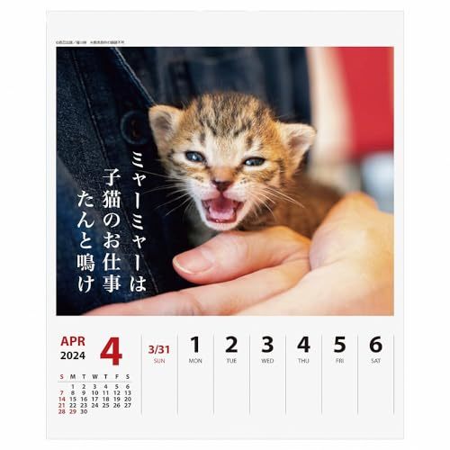 2024年 猫川柳(週めくり)カレンダー No.025の画像4