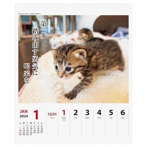 2024年 猫川柳(週めくり)カレンダー No.025の画像2