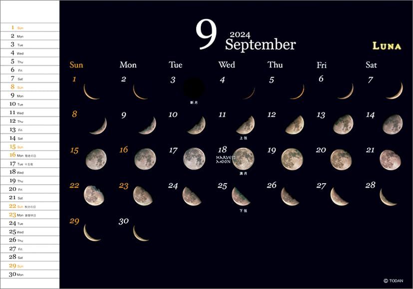 トーダン 卓上L ルナ-月ごよみ- 2024年 カレンダー CL24-1022_画像4