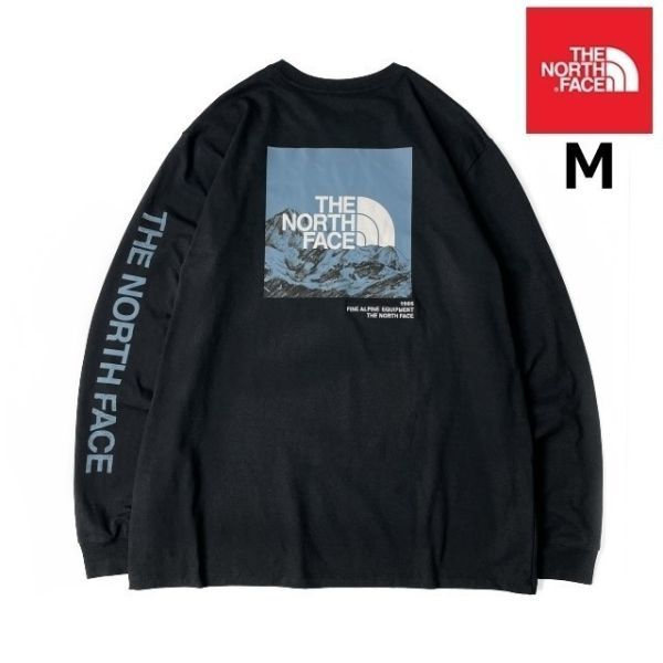 1円～!売切!【正規新品】THE NORTH FACE◆L/S LOGO PLAY 長袖 Tシャツ ロンT US限定 袖ロゴ ヒマラヤ 落描き風 ボックスロゴ(M)黒180902-20_画像1