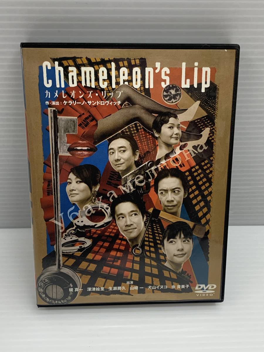 24-y11378-Ps カメレオンズ・リップ DVD 再生確認済_画像1