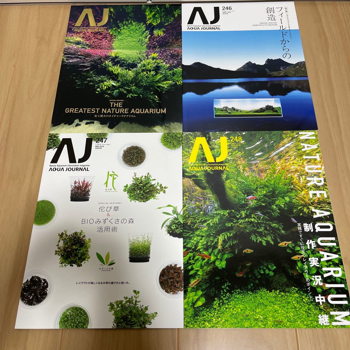 即決 アクア ジャーナル ADA AQUA JOURNAL アクアデザインアマノ 天野 尚 雑誌 NO.244.246.247.248の4冊セット 実践で役立つレイアウトほか_画像1