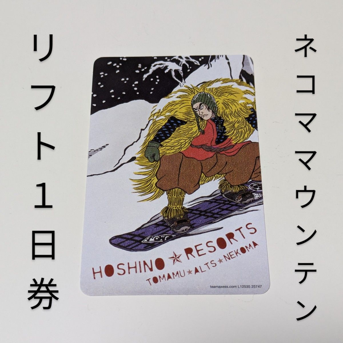 ネコママウンテン リフト1日券２枚 - スキー場