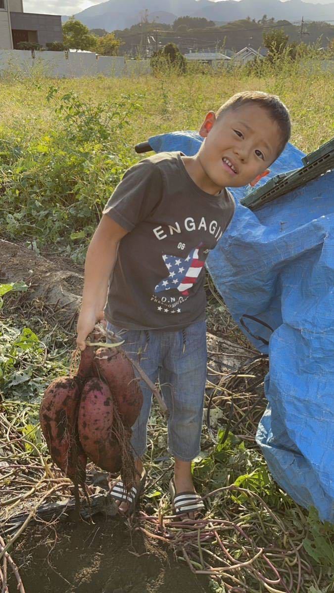 神奈川県厚木産紅はるか23年収穫 訳あり箱込み7キロ農家直送_画像2