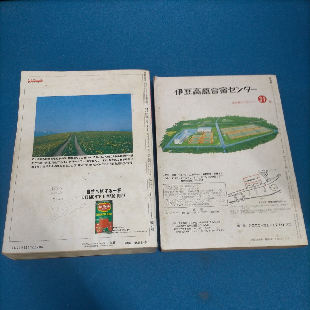 JR編集 時刻表 全国版宿泊表 昭和63年3月号 1988 JR全国ダイヤ改正 最新全国温泉地1744 ２冊セット_画像2