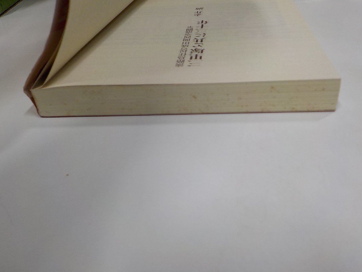 1E0140◆三里塚と共に三十年 淡路島住民の成田・関西空港闘争 永井 満 御茶の水書房☆_画像2