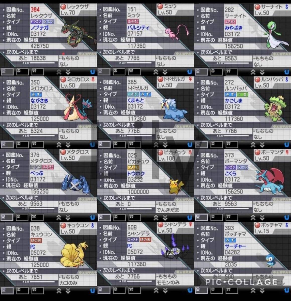 【ポケモン】ホワイト2 配信 6vメタモン付き 道具完備 ポケットモンスター最強データ 3DS ソフト_画像8