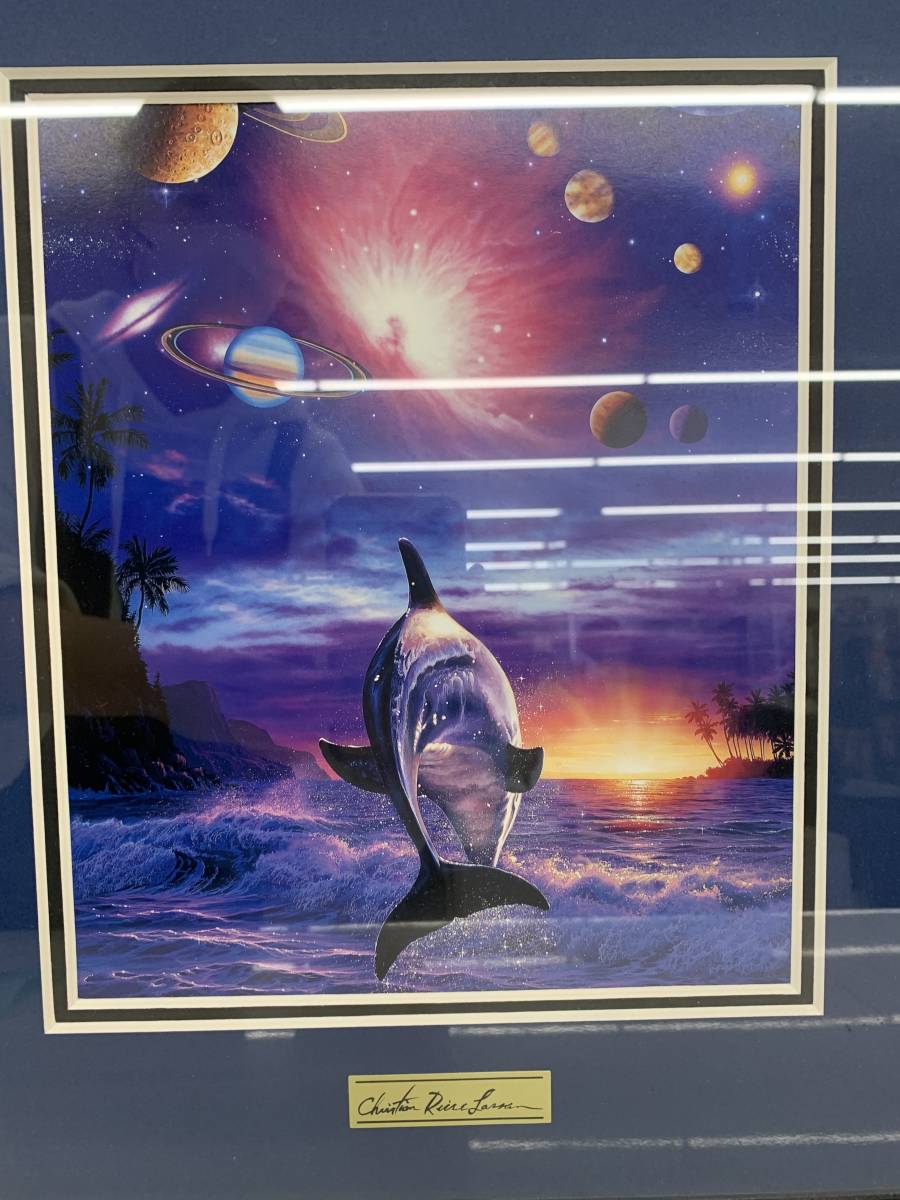  dolphin picture poster art *2400010260568