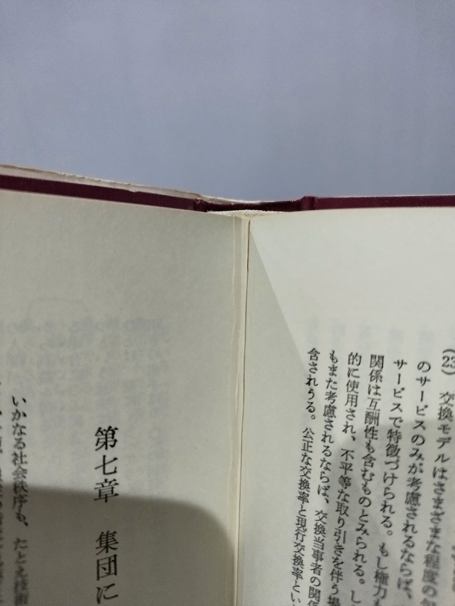 交換と権力　社会過程の弁証法社会学　ピーター・M・ブラウ/間場寿一/居安正/塩原勉　新曜社【ac02i】_画像8