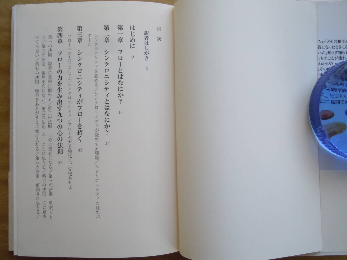 ●『パワー・オブ・フロー　幸運の流れをつかむ新しい哲学』 チャーリーン・ベリッツ／著　メグ・ランドストロム／著　河出書房新社_画像3