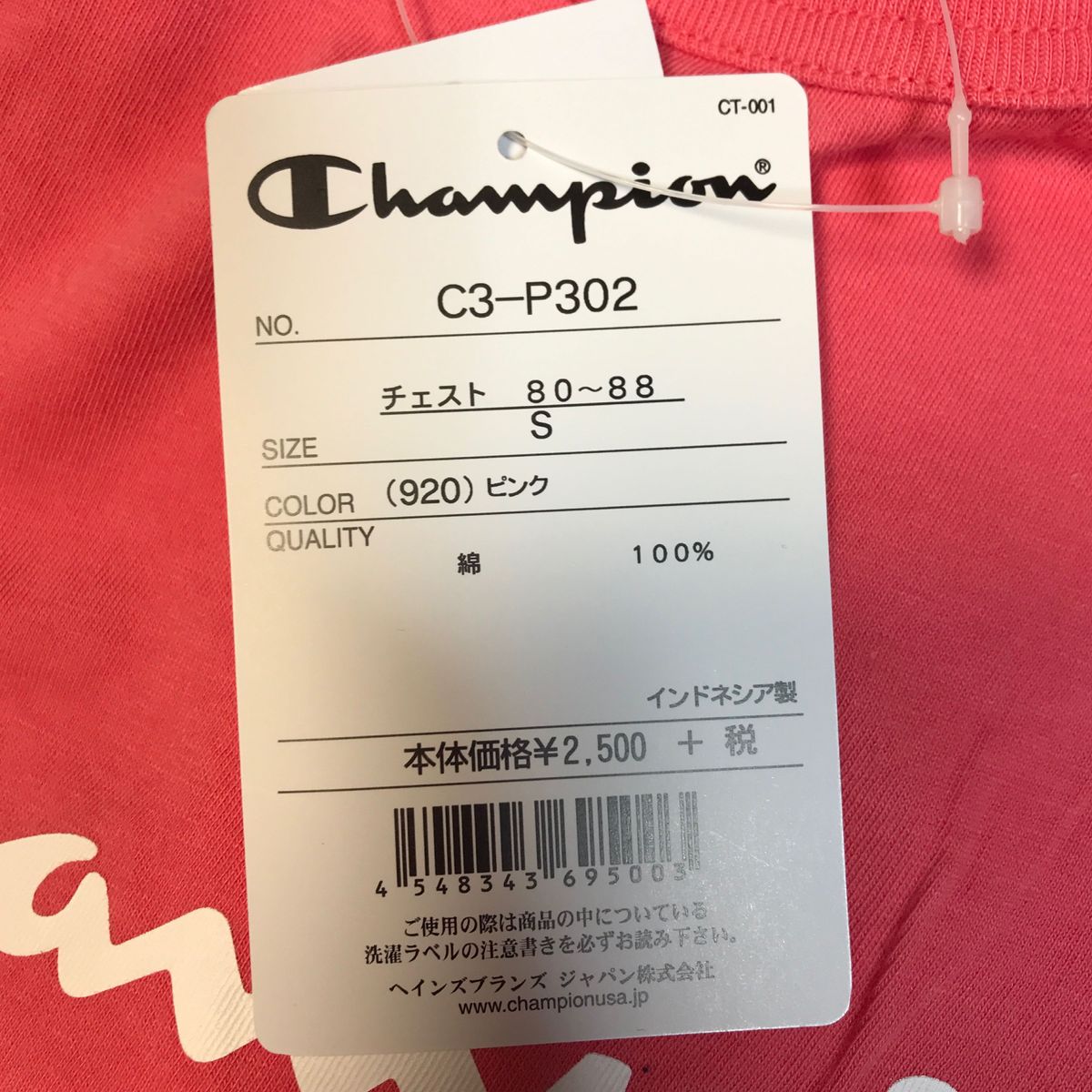 バドミントン　チャンピオン　Tシャツ　C3-P302