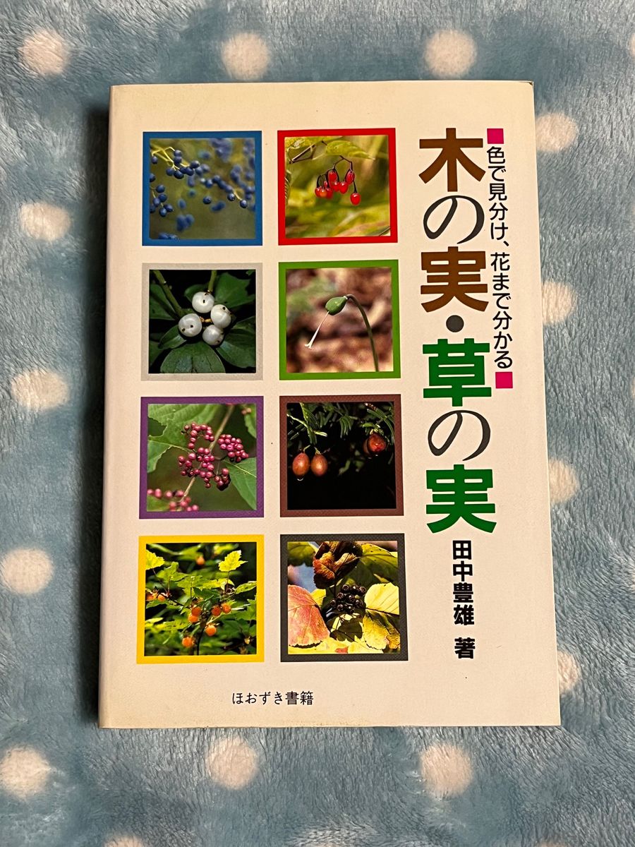 木の実・草の実／田中豊雄／ほおずき書籍／図鑑