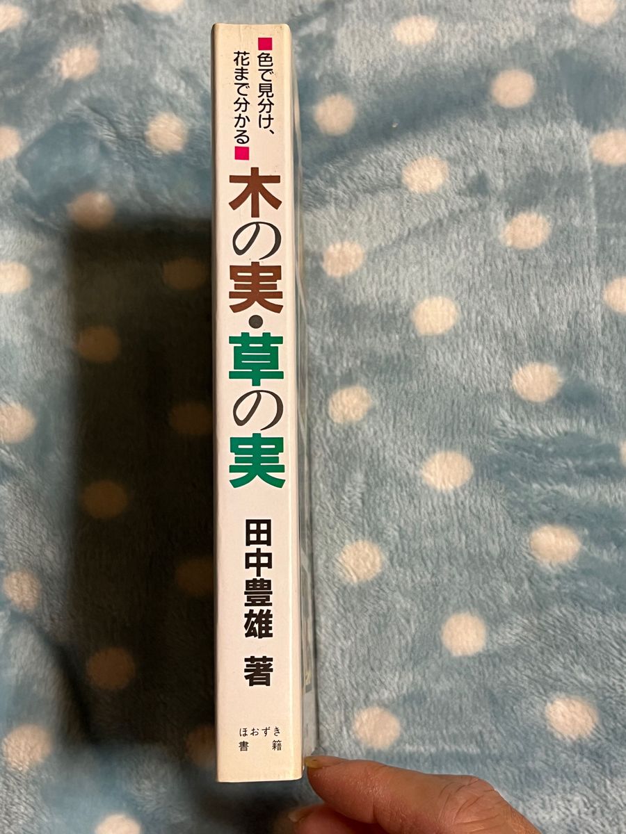 木の実・草の実／田中豊雄／ほおずき書籍／図鑑