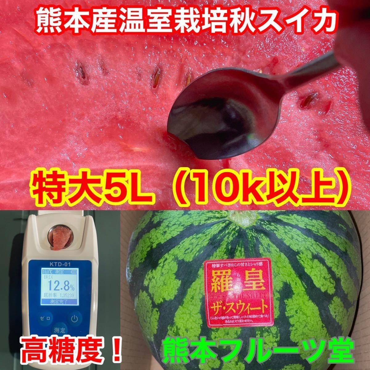 カウントダウン！【秀品】大人気生産者！希少な『絶品秋スイカ』熊本産【羅皇】5Lサイズ（1玉10kg以上）熊本フルーツ堂40_画像7