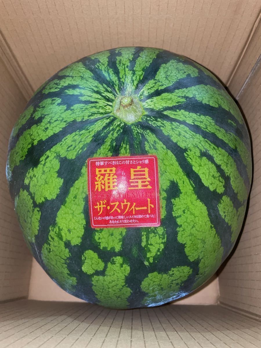 【秀品】大人気生産者！希少な『絶品秋スイカ』熊本産【羅皇】2Lサイズ（1玉7〜8kg）熊本フルーツ堂39_画像4