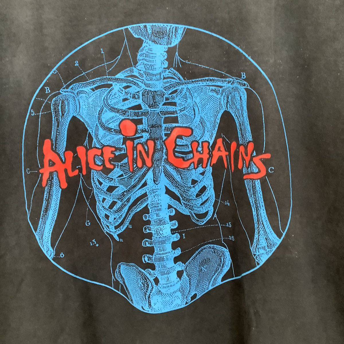 当時もの 1990s-00s Alice In Chains 人体図 ヴィンテージ Tシャツ DELTA製 サイズL オルタナティブ 80s 90s バンド 音楽_画像2