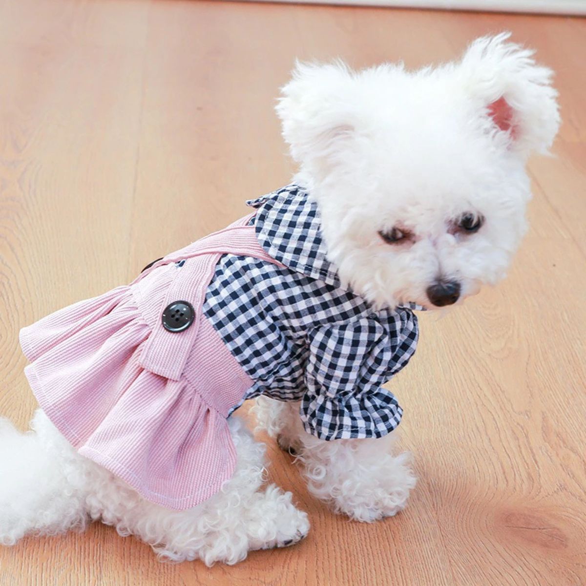 犬の服 ワンピース フリル 猫服 春夏秋 トイプードル チワワ マルチーズ洋服