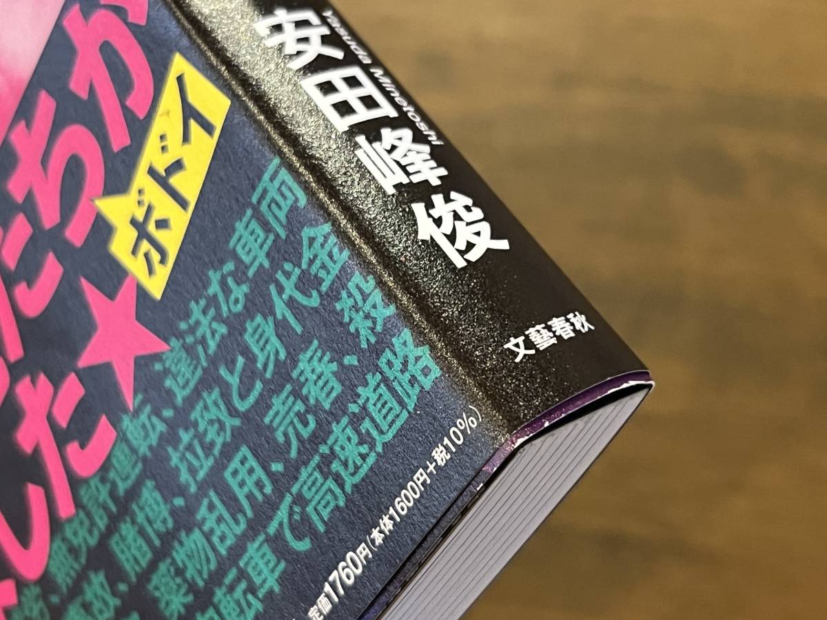 『北関東「移民」アンダーグラウンド ベトナム人不法滞在者たちの青春と犯罪』(本) 安田 峰俊_画像6