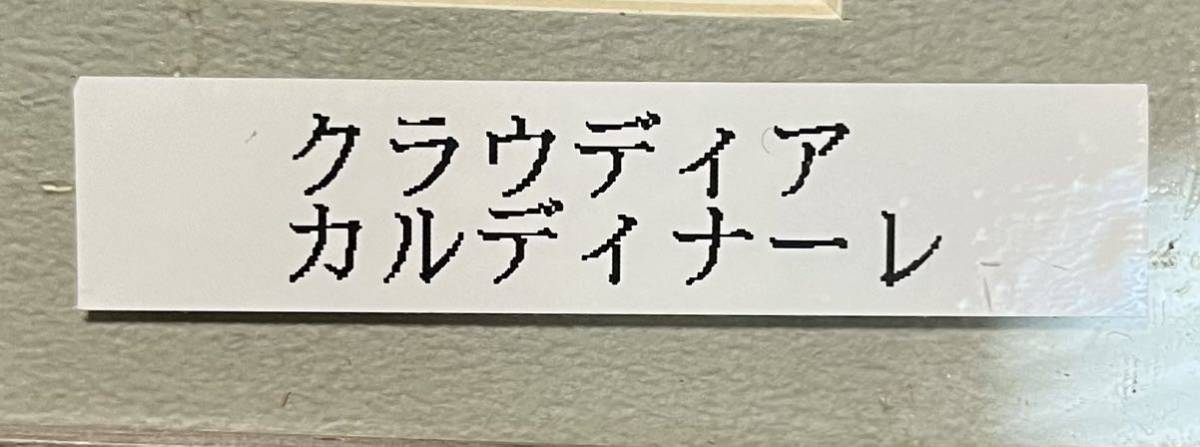 【本物証明書付き】☆クラウディア・カルディナーレ☆直筆サイン入りフォト☆中古品☆_画像3