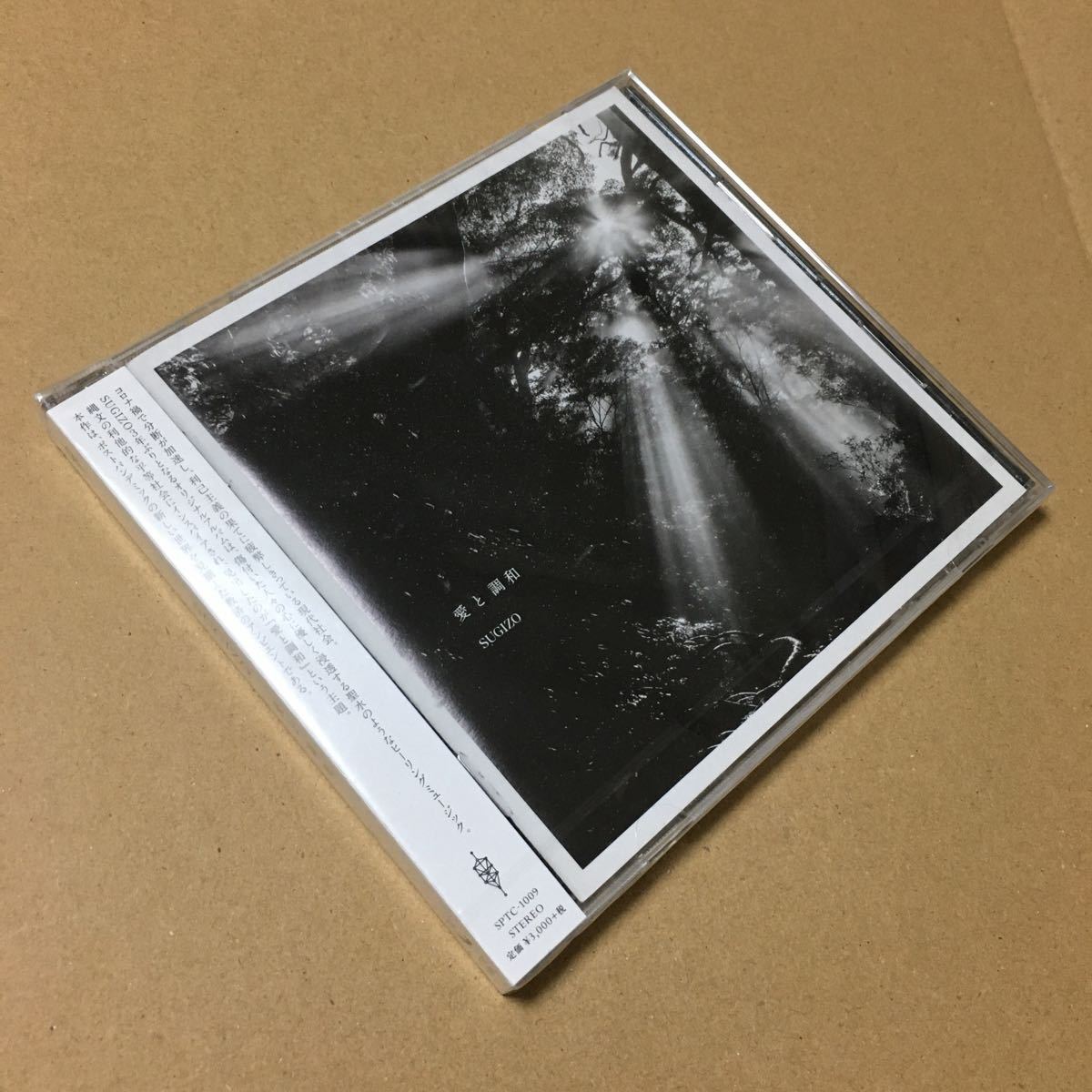 送料込み　未開封　SUGIZO　スギゾー　CD　オリジナルアルバム　☆愛と調和☆　10曲　Regular Edition　SPTC-1009　J-POP_画像8