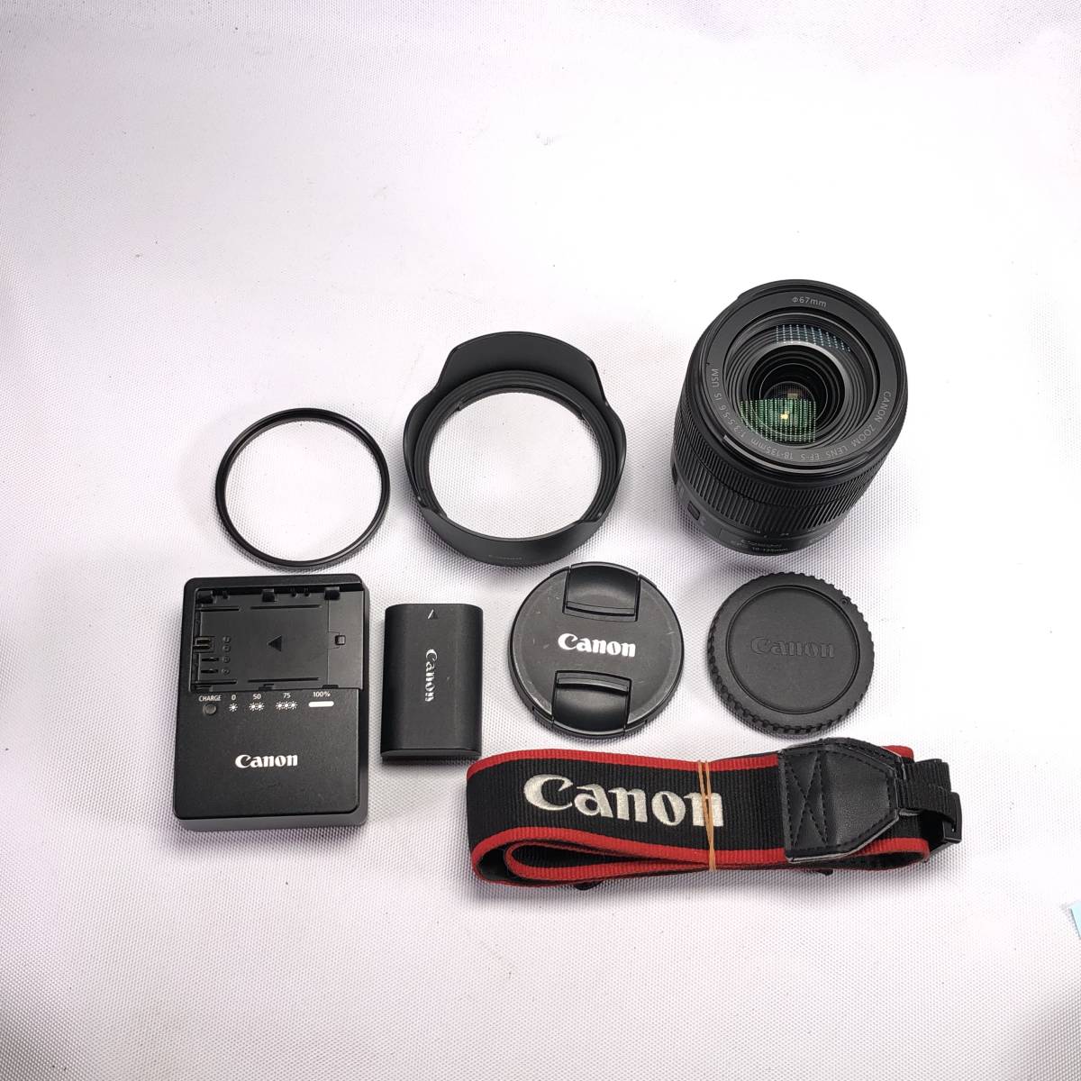 1スタ Canon EOS 80D + 18-135mm F3.5-5.6 IS USM キヤノン デジタル 一眼レフ カメラ 動作OK 良品 1円 ヱOA4_画像10