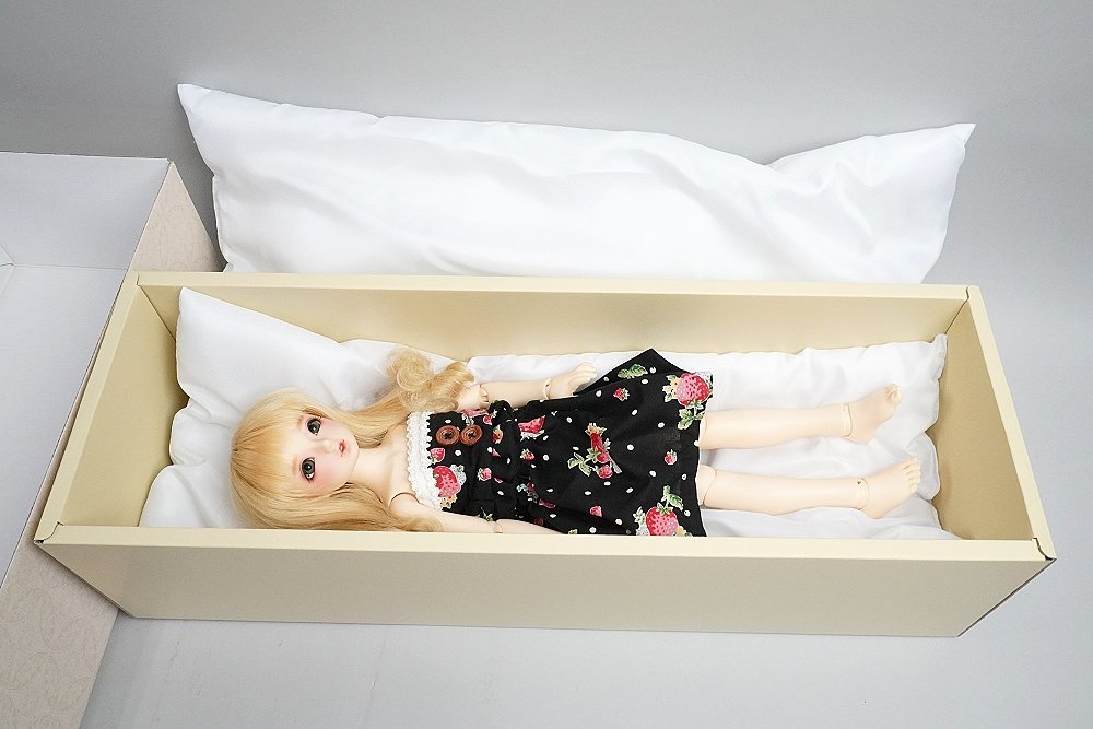 ☆ VOLKS ボークス SDM 女の子 99番ヘッド まこ スタンダード