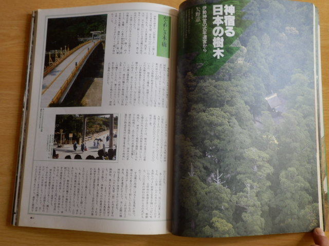 樹の日本史 別冊歴史読本 シリーズ自然と人間の日本史4 平成2年 新人物往来社_画像8