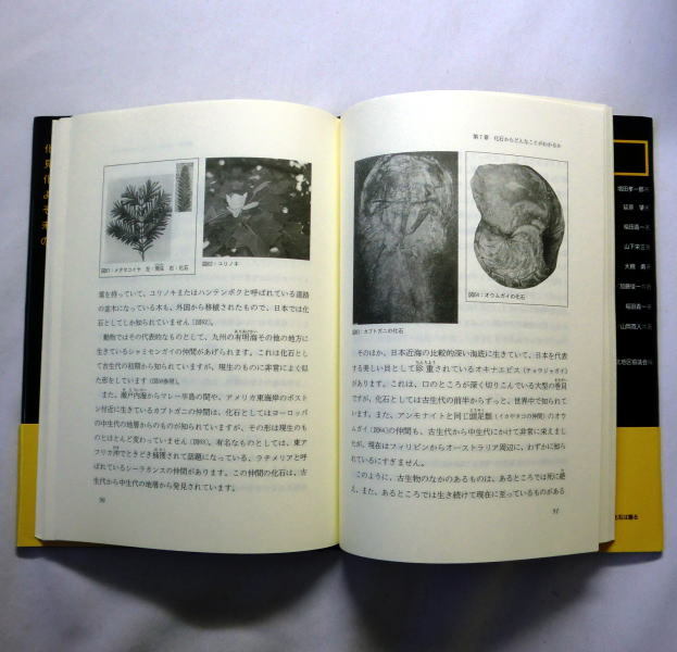 「よみがえる太古の生きもの　化石は語る」増田孝一郎 たくさんの写真とわかりやすい説明で大人も子どもも楽しめる科学読み物