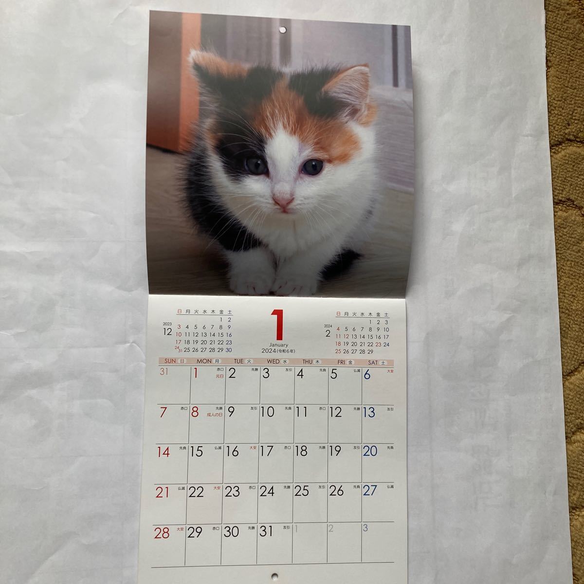 2024年　壁掛けカレンダー 猫 ねこ　ネコ_画像2