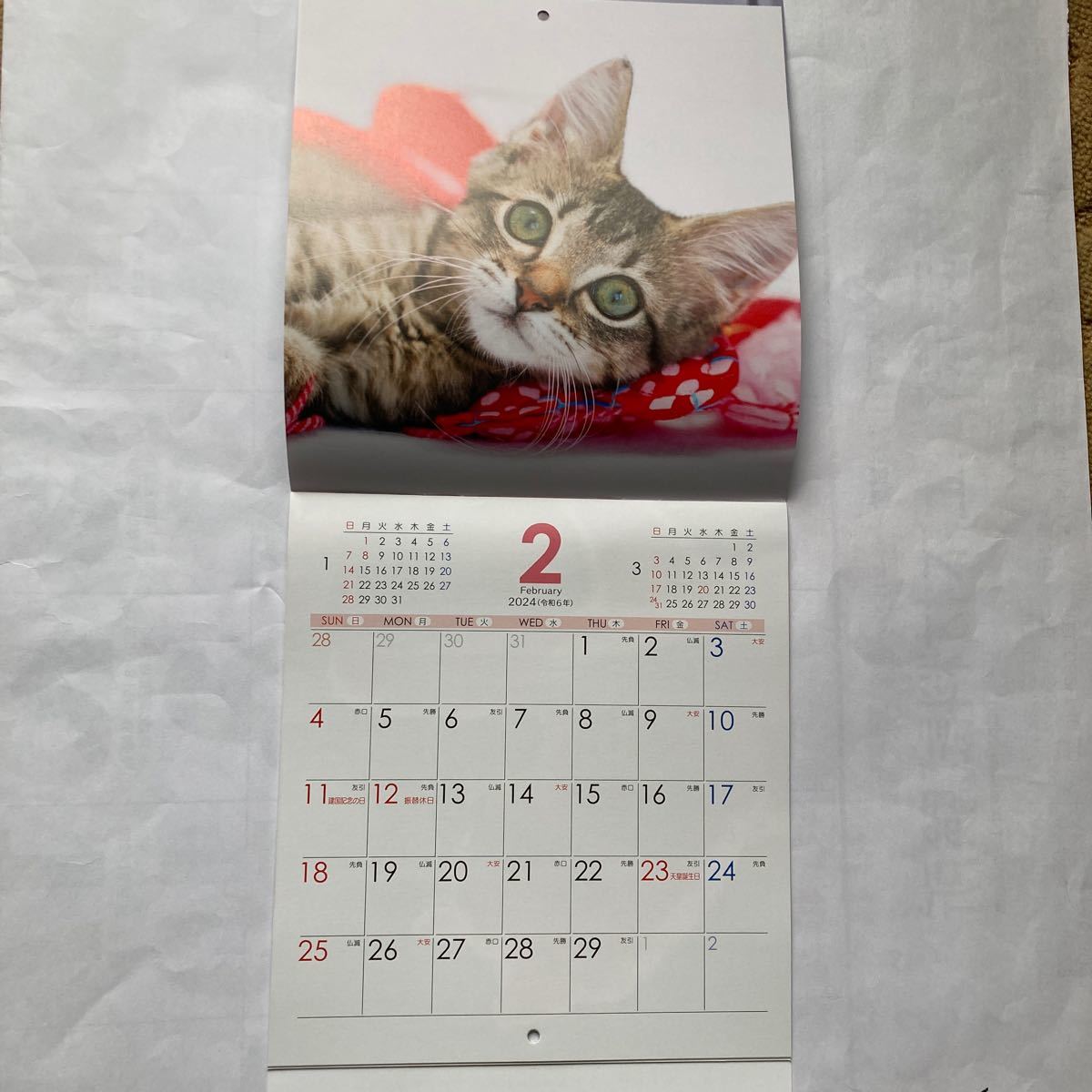 2024年　壁掛けカレンダー 猫 ねこ　ネコ_画像3