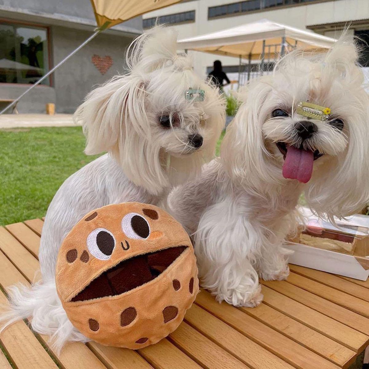 【最安値】犬 知育玩具 ペット おもちゃ 嗅覚トレーニング 犬おもちゃ ぬいぐるみ