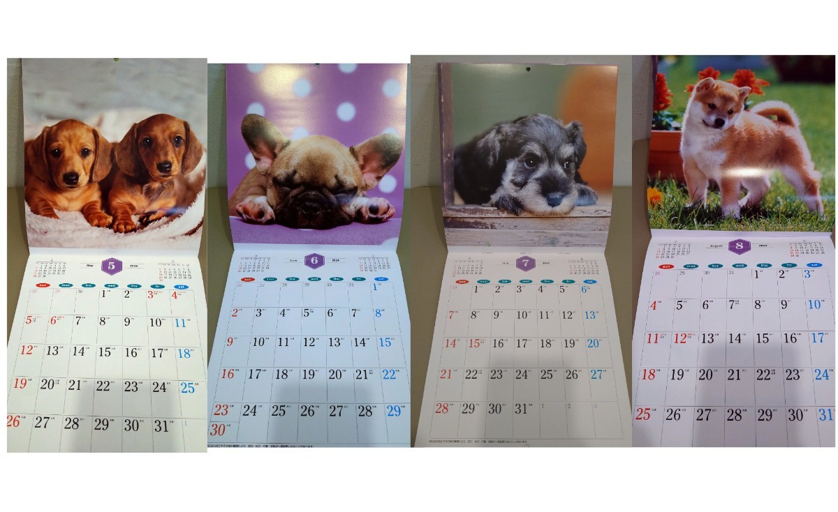 2024年　犬壁掛けカレンダー　THE DOGS _画像3