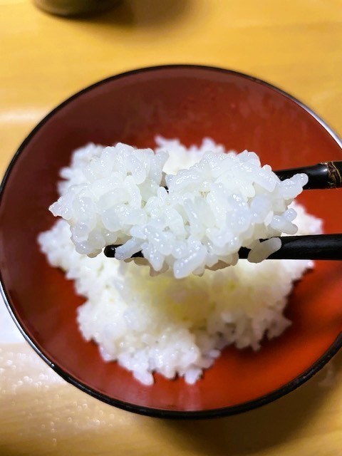 京都丹波産 コシヒカリ 令和５年度”新米”10ｋｇ【送料無料】落札後に精米します。19_新米　炊き立てのご飯