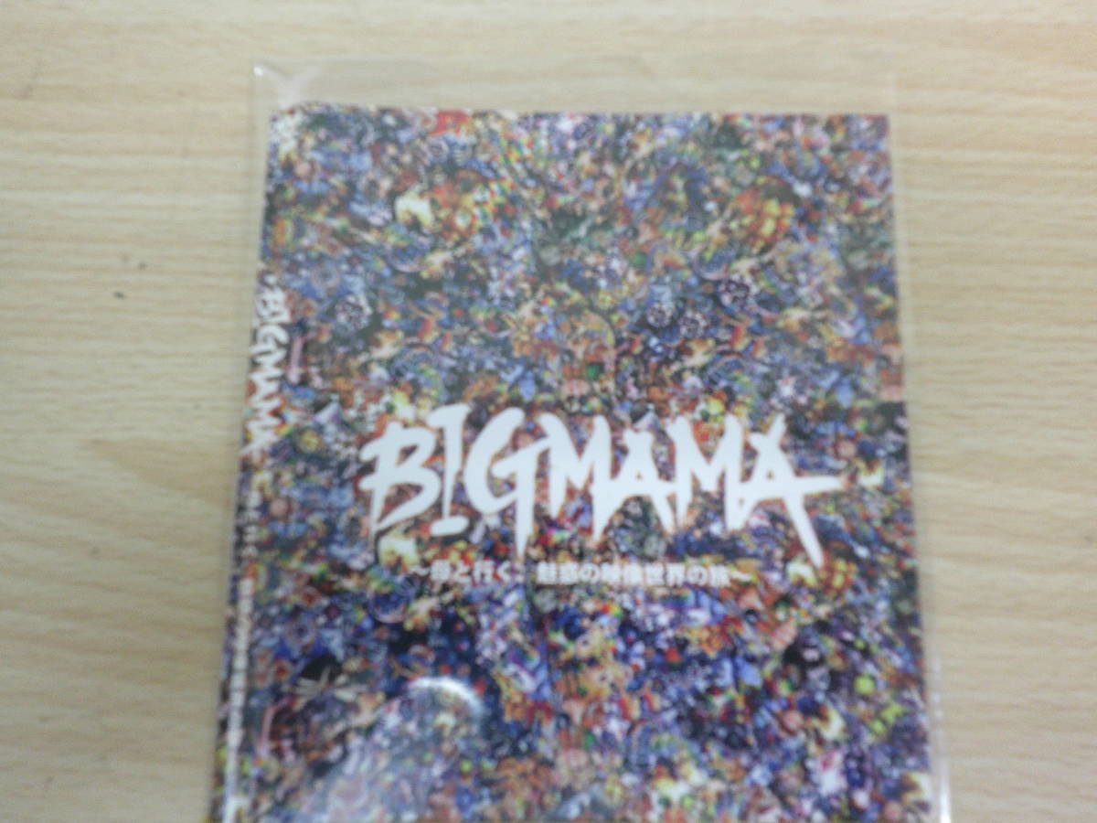 BIGMAMA　～母と行く、魅惑の映像世界の旅～　邦画_画像2