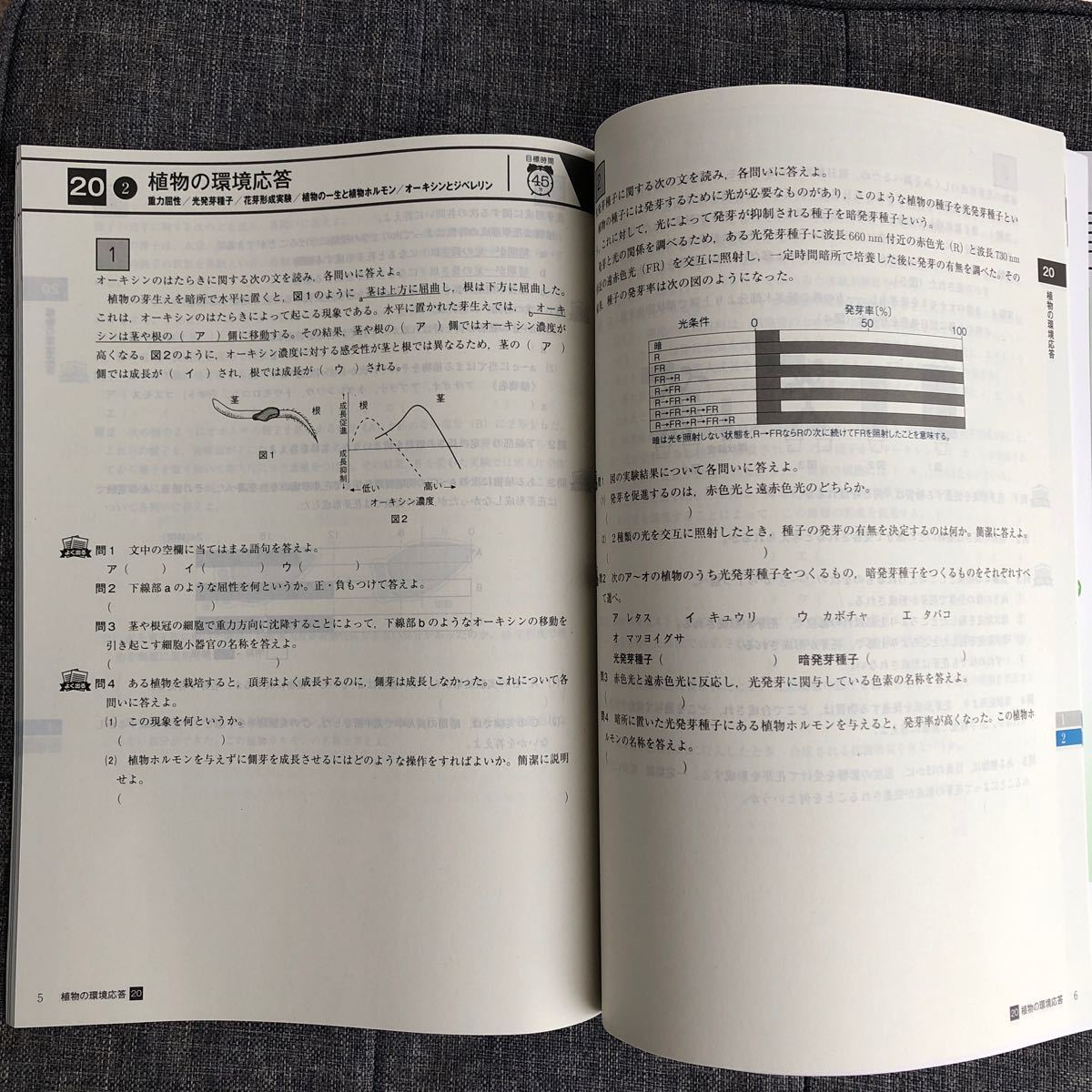 進研ゼミ高校講座　定期テスト予想問題集　生物_画像2