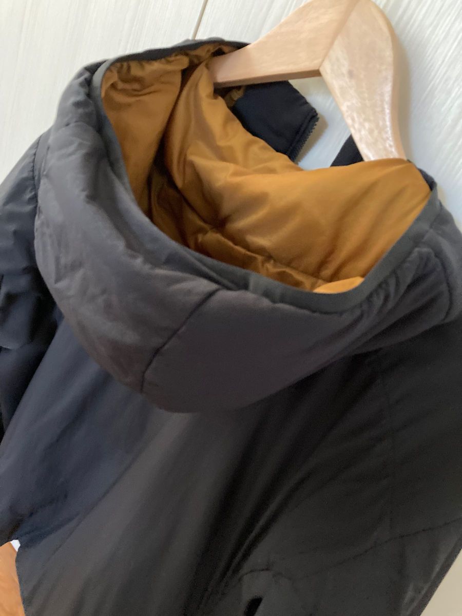 美品 限定モデル】ARC'TERYX Atom LT Hoody 金刺繍 Lサイズ 美品 限定モデル】ARC'TERYX Atom LT Hoody 金刺繍 Lサイズ