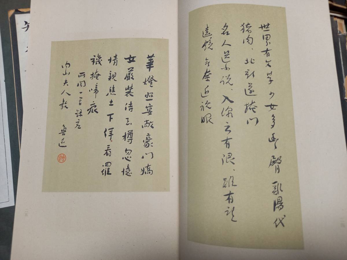 書道　24冊　法帖　古い本　王羲之　拓本　王鐸　孔子廟堂碑　日下部鳴鶴　など　貴重な本_画像9