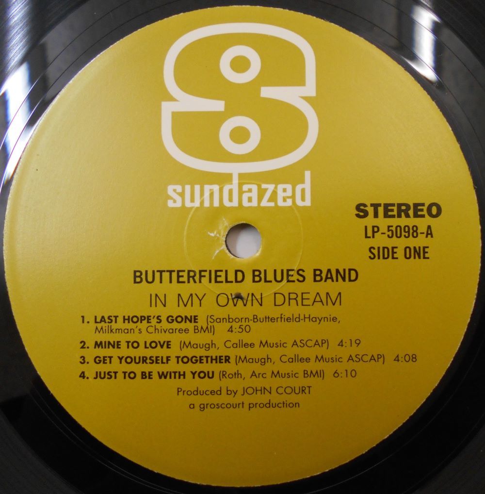 ■中古品■The Butterfield Blues Band ザ・バターフィールド・ブルース・バンド/in my own dream(USED LP)_画像3