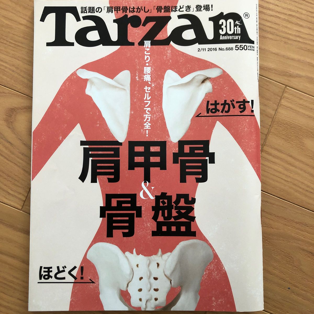 Tarzan  肩甲骨　骨盤　　本/ターザン