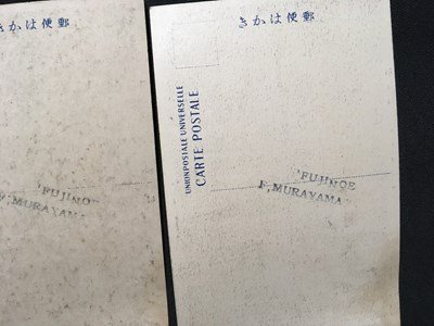 ｍ◆　戦前絵葉書　各国動物絵葉書（集一） 本部 矢野動物園発行 8枚 虎 ワニ 豹 ジャカリー 印度象 北海産熊 ヤマアラシ　/I25②_画像3