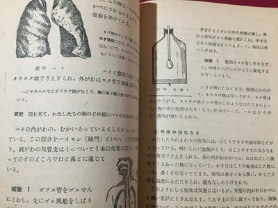s* Showa 26 год учебник новый наука 9 хлопчатник сделал .. из . неполная средняя школа no. 2 учебный год для Hokuriku учебное пособие . вписывание иметь Showa Retro подлинная вещь / M97