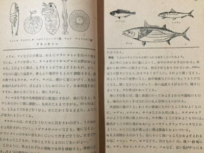 ｓ◆　昭和25年　教科書　わたしたちの科学2　人と動物　中学校第1学年用　北陸教育書籍　書き込み有　昭和レトロ　当時物　/　M97_画像4