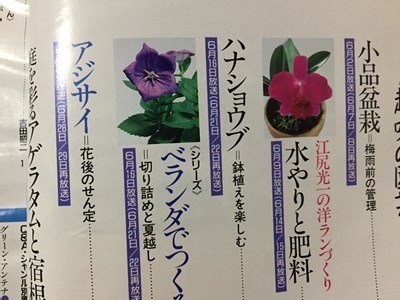 s* эпоха Heisei 3 год NHK хобби. садоводство 6 месяц номер - нет .ub др. Япония радиовещание выпускать отдел литература только литература журнал /M99