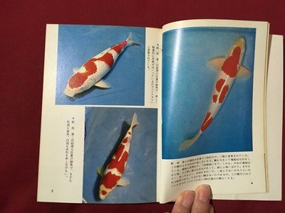 m* color books 159 colored carp - appreciation .. garden ...- black tree . Hara work Showa era 46 year 10. issue /I104