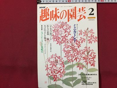 s* эпоха Heisei 7 год NHK хобби. садоводство 2 месяц номер Mini Cattleya др. Япония радиовещание выпускать отдел литература только литература журнал /M99