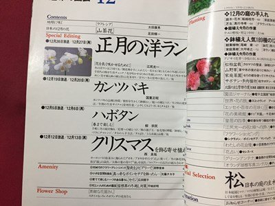 ｓ◆　平成5年　NHK 趣味の園芸 12月号　正月の洋ラン 他　日本放送出版局　書籍のみ　書籍　雑誌　/M99_画像2