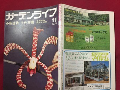 ｓ◆　昭和50年　ガーデンライフ　11月号　小菊盆栽　土佐寒蘭　多肉植物　誠文堂新光社　雑誌　昭和レトロ　当時物　/M99_画像2