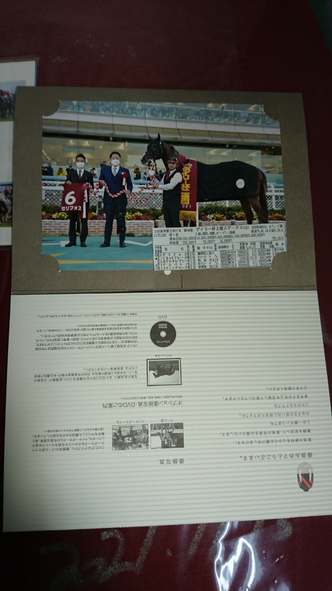  prompt decision!selifos actual use victory number no. 56 times tei Lee cup 2 -years old S JRA most super preeminence short distance horse .. horse . wistaria hill .. autograph autograph horse racing QUO card 