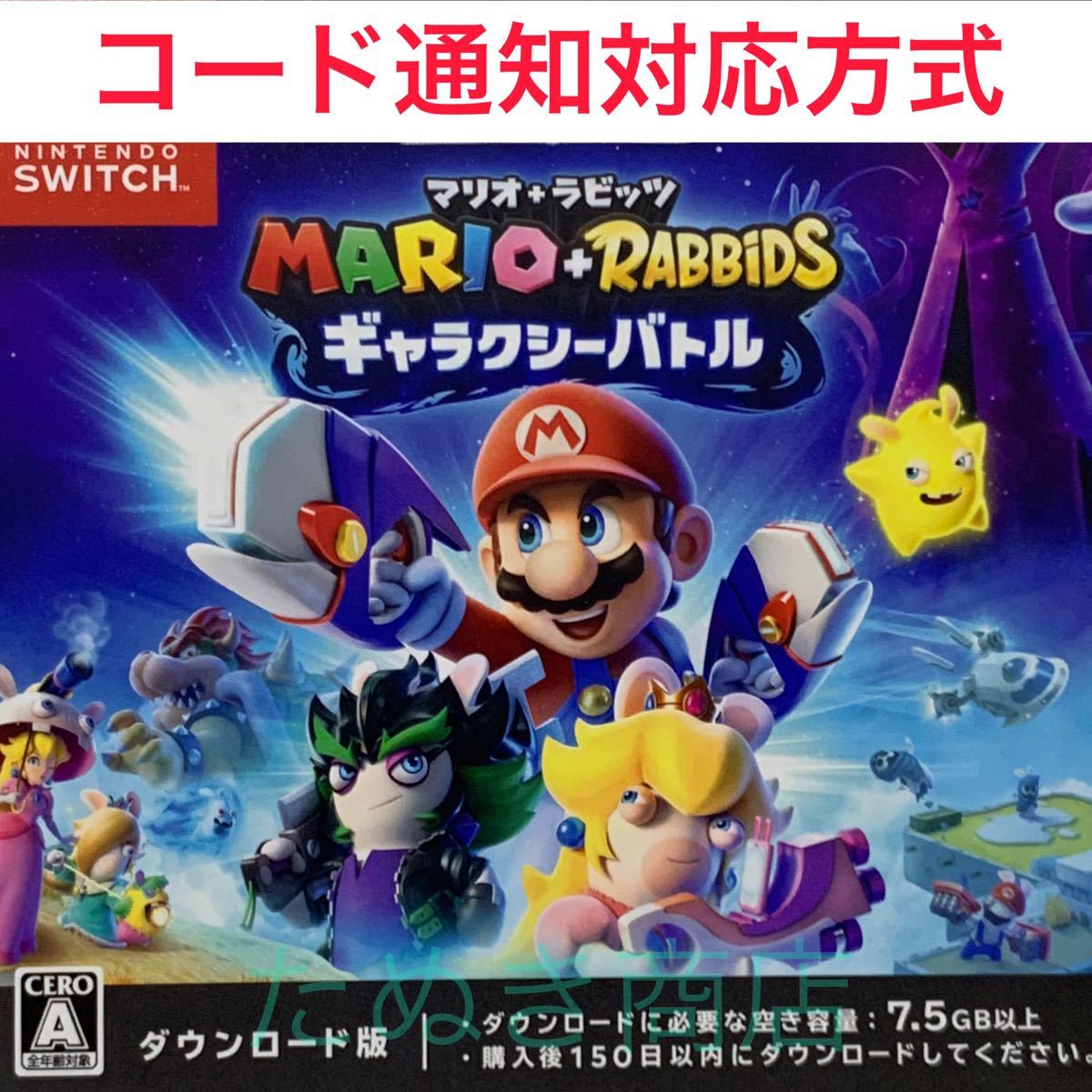 開発 任天堂 スイッチ デモカートリッジ (QUEST V19 116368 開発 任天堂 スイッチ デモカートリッジ (QUEST V19 116368