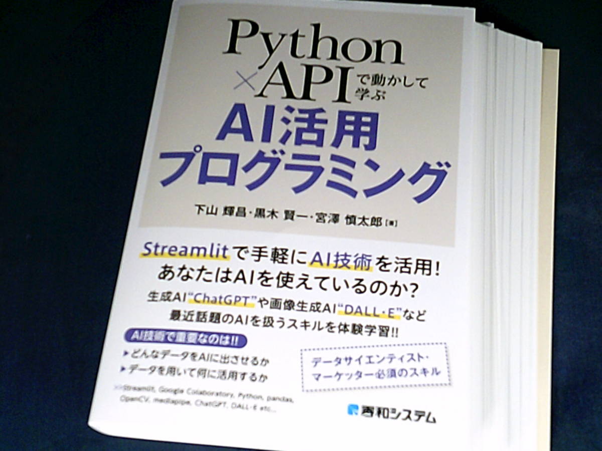 【裁断済】Python×APIで動かして学ぶ AI活用プログラミング【送料込】_画像2